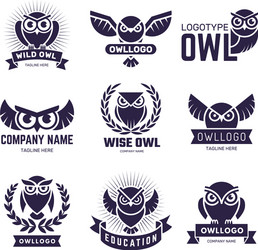 Flying Owl Badges with Feathers Vector Image