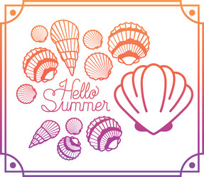 hello summer label with colorful frame vector image