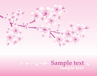 Four seasons tree - spring summer autumn winter Vector Image