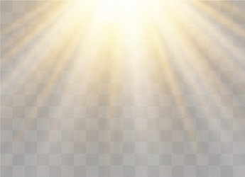 transparent sunlight vector