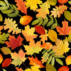 Watercolor Autumn Leaves Pattern Vector Image