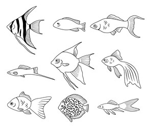 coloring book page fishes set collection of black vector