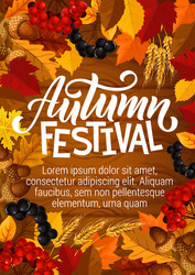 Autumn Berry Harvest Poster Vector Image