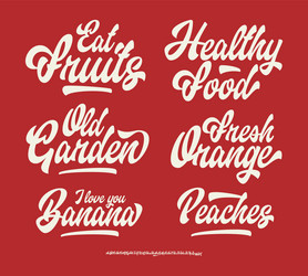 lettering set with script font vector image
