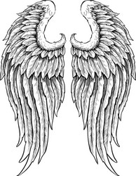 Detailed Angel Wings Vector Image
