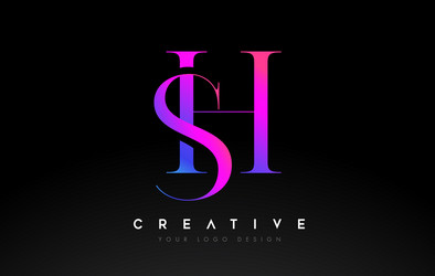 Hs artistic letter logo design with serif font Vector Image