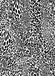 Leopard Print Seamless Pattern vector image
