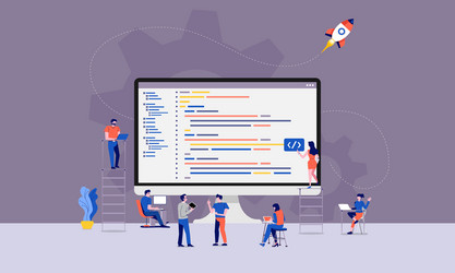 teamwork developer programmer vector image