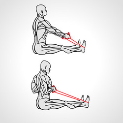 Man doing seated low cable back rows exercise Vector Image