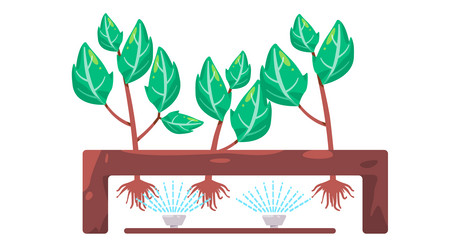 Aeropinics water spray system in smart farming vector