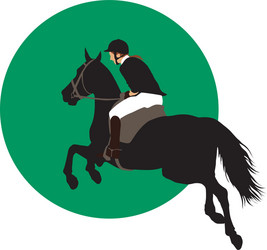 Horse Jumping Sport Vector Image