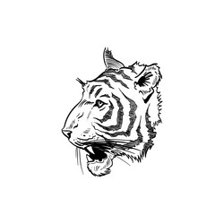 tiger head hand drawn sketch sticker design Vector Image