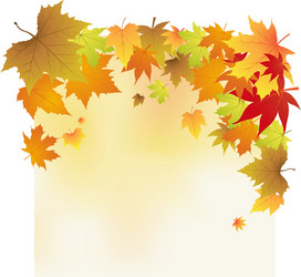 Autumn leaves background Royalty Free Vector Image