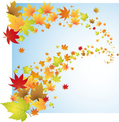 Wooden frame with autumn leaves rowan and maple Vector Image
