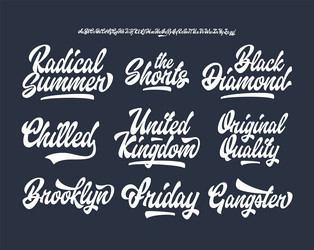 lettering set with original script font vector image