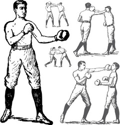 Vintage Boxing Illustrations Vector Image