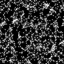 network background connection structure cobweb vector image