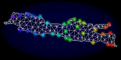 polygonal network mesh map java island vector image