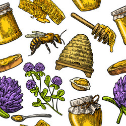 seamless pattern with honey bee hive clover vector