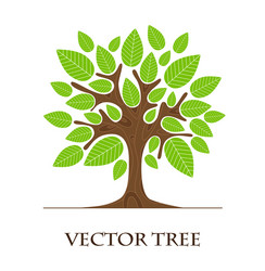 Tree botany life nature logo Royalty Free Vector Image
