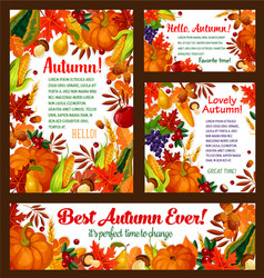 Autumn Harvest Foliage Poster Vector Image
