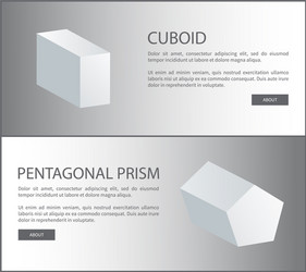 cuboid and pentagonal prism 3d shaped web vector