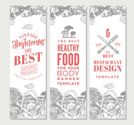 Sketch organic food vertical banners vector