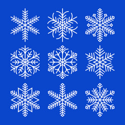 Snowflake Patterns vector image