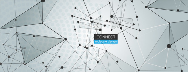 Abstract Polygonal Network Background vector image