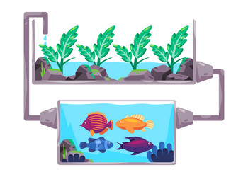 Aquaponics system in smart farming method flow vector