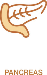 Pancreas concept 2 colored icon simple line vector