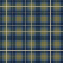 Plaid Pattern Background vector image