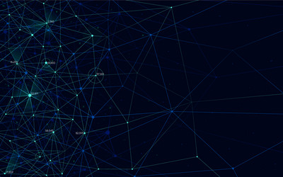 analytical network polygonal structure with lines vector image