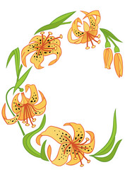 frame from abstract lilies vector image