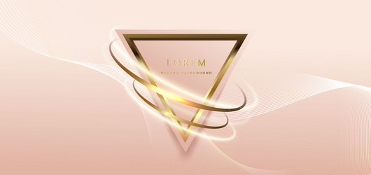 abstract glegant triangle frame with gold curve vector image