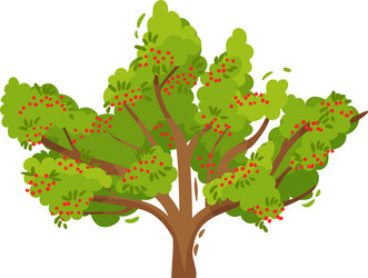 Big rowan tree with ripe red berries and green vector