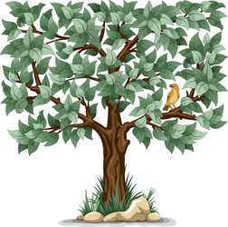 Isolated Green Tree with Bird vector image