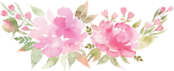 Watercolor Peonies Flowers Vector Image