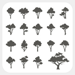 Tree Icon Set - Botanical Elements vector image