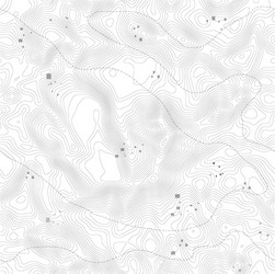 seamless pattern topographic map background vector image
