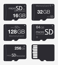 top view of micro sd memory card isolated vector image