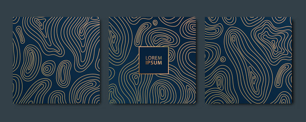 set of line map gold patterns typography vector image