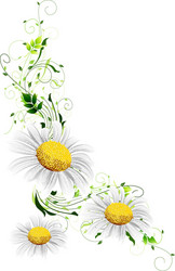 spring background vector image