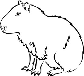 capybara vector sketch 8917850 Vector Art at Vecteezy