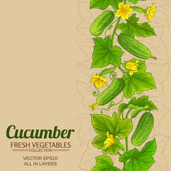 cucumber plant pattern on color background vector image