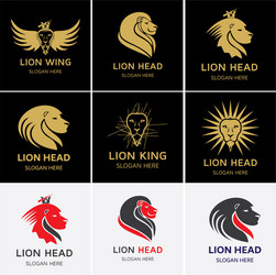 lion head logo template Vector Image
