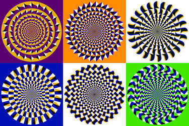 set of circular patterns with different shapes vector image