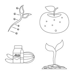 isolated object of and sign collection vector image