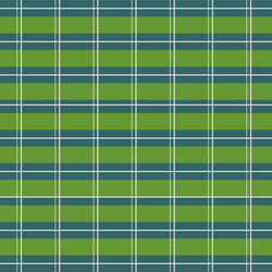 fabric texture square and line pattern vector image