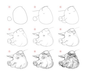 Page shows how to learn draw sketch the head vector